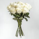 White Rose Stick