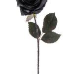 Black Rose Stick