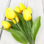 Yellow Tulips