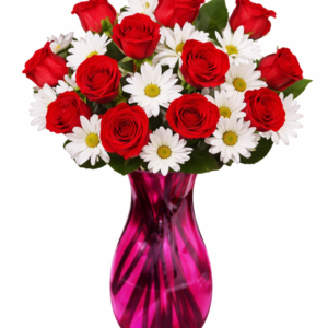 red rose