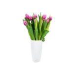 Pink Tulips