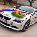 Car Decoration CD-04
