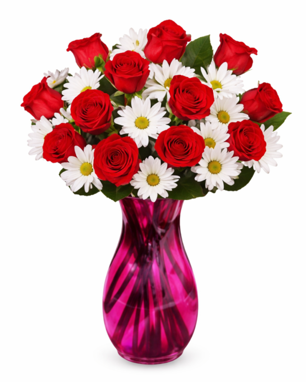 red rose
